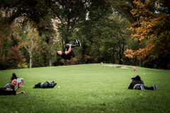 Sheep Meadow